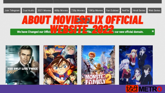 Moviesflix official website screenshot